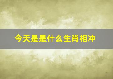 今天是是什么生肖相冲