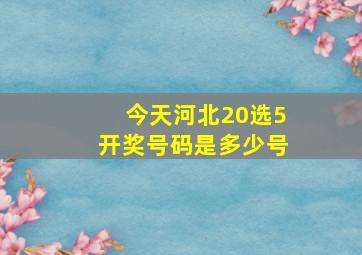 今天河北20选5开奖号码是多少号