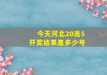 今天河北20选5开奖结果是多少号