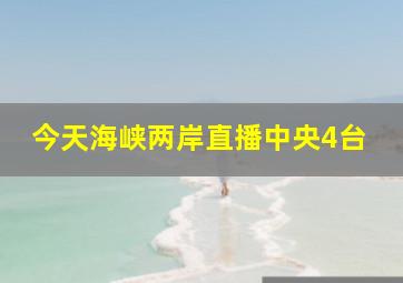 今天海峡两岸直播中央4台