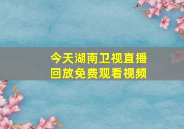 今天湖南卫视直播回放免费观看视频