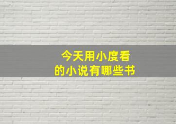 今天用小度看的小说有哪些书