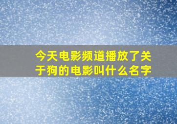 今天电影频道播放了关于狗的电影叫什么名字