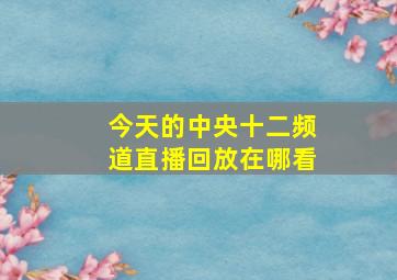 今天的中央十二频道直播回放在哪看