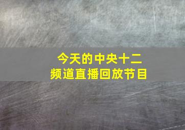 今天的中央十二频道直播回放节目