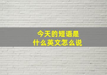 今天的短语是什么英文怎么说