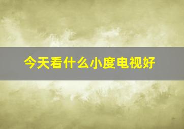 今天看什么小度电视好