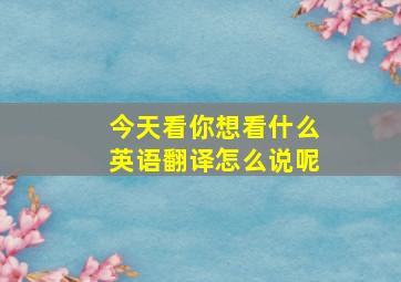 今天看你想看什么英语翻译怎么说呢