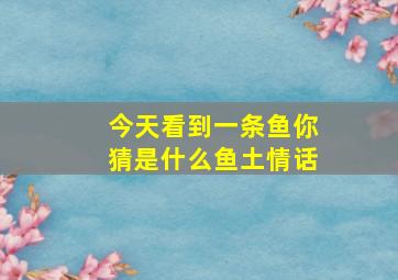 今天看到一条鱼你猜是什么鱼土情话