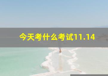 今天考什么考试11.14