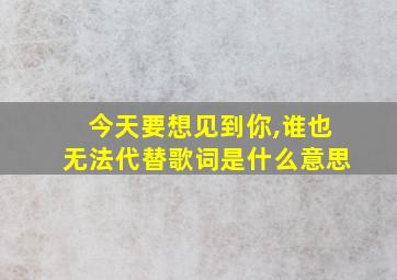 今天要想见到你,谁也无法代替歌词是什么意思