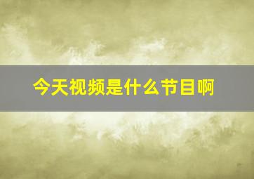 今天视频是什么节目啊