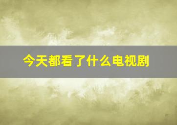 今天都看了什么电视剧