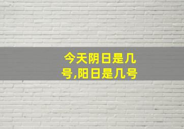 今天阴日是几号,阳日是几号