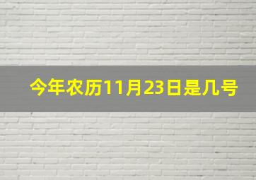 今年农历11月23日是几号