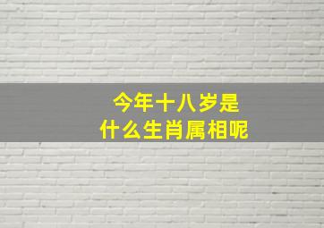 今年十八岁是什么生肖属相呢