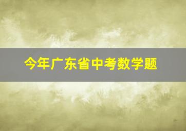 今年广东省中考数学题