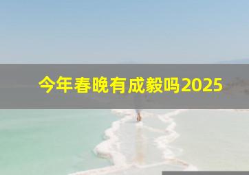 今年春晚有成毅吗2025