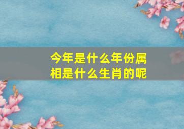 今年是什么年份属相是什么生肖的呢