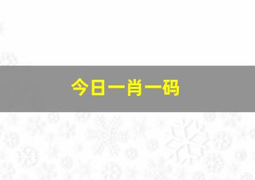 今日一肖一码