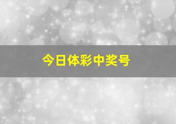 今日体彩中奖号