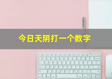 今日天阴打一个数字