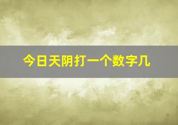 今日天阴打一个数字几