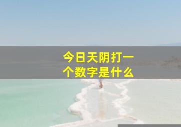 今日天阴打一个数字是什么