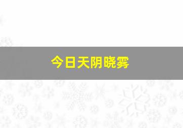 今日天阴晓雾