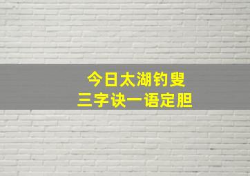 今日太湖钓叟三字诀一语定胆