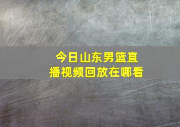 今日山东男篮直播视频回放在哪看