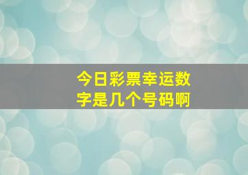 今日彩票幸运数字是几个号码啊