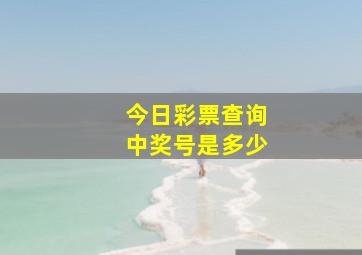 今日彩票查询中奖号是多少