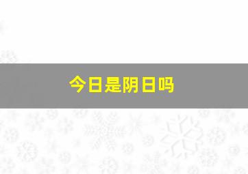 今日是阴日吗