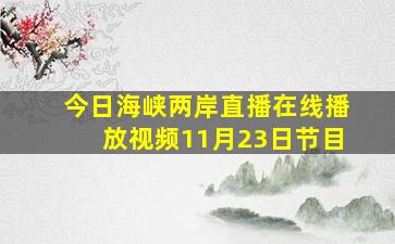 今日海峡两岸直播在线播放视频11月23日节目