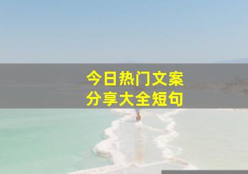 今日热门文案分享大全短句