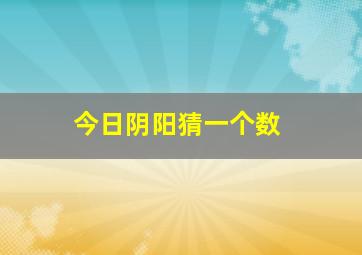 今日阴阳猜一个数