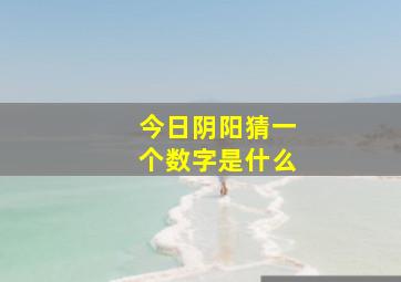 今日阴阳猜一个数字是什么