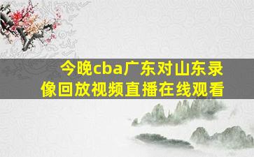 今晚cba广东对山东录像回放视频直播在线观看