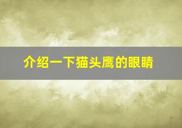 介绍一下猫头鹰的眼睛