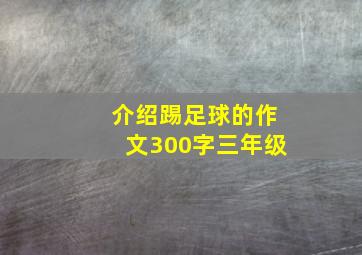 介绍踢足球的作文300字三年级