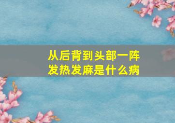 从后背到头部一阵发热发麻是什么病