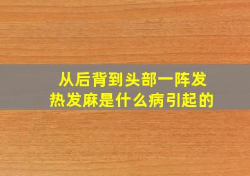 从后背到头部一阵发热发麻是什么病引起的