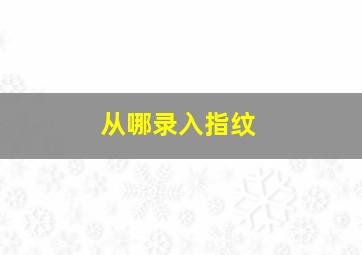 从哪录入指纹