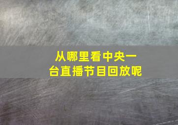 从哪里看中央一台直播节目回放呢