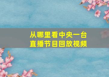 从哪里看中央一台直播节目回放视频