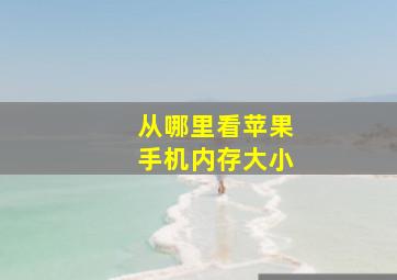 从哪里看苹果手机内存大小