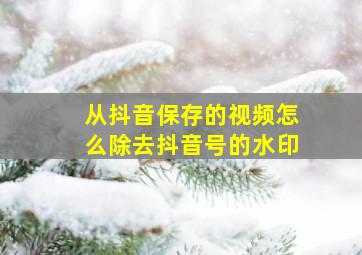 从抖音保存的视频怎么除去抖音号的水印