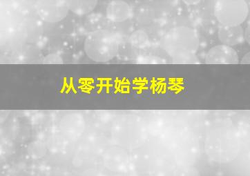 从零开始学杨琴