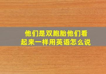 他们是双胞胎他们看起来一样用英语怎么说